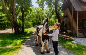 Eine Frau steht neben einem schwarz-wei&szlig;en Pferd auf einem Hof mit B&auml;umen und einem Holzgeb&auml;ude im Hintergrund.