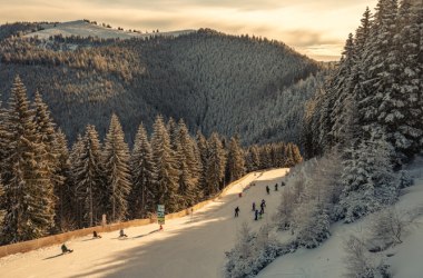 Panoramabild der Rodelbahn mit Rodlern und Blick auf einen schneebedeckten Berg
