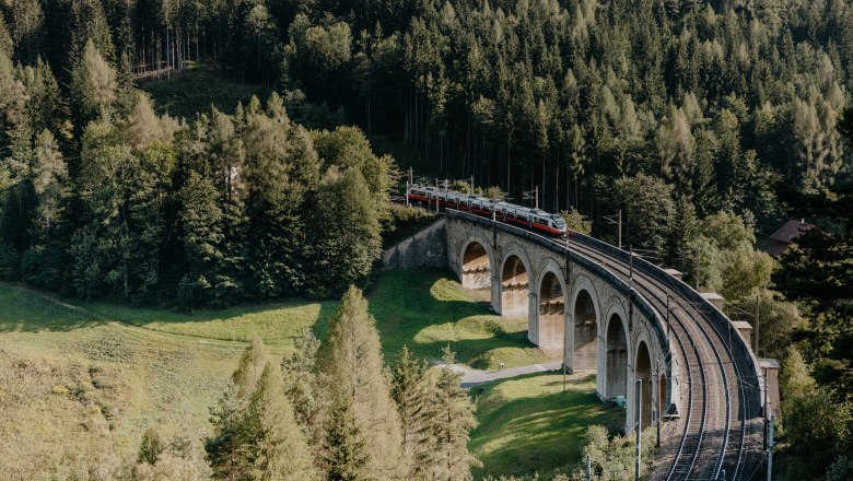 Ein Zug fährt über ein Viadukt, Bäume in der Umgebung