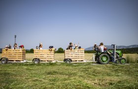 Ein Traktor zieht Anhänger mit fröhlichen Menschen durch ein Feld.