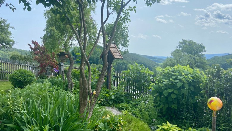 Ein grüner Garten mit Bäumen, Sträuchern und einem Holzzaun im Hintergrund. Der Himmel ist blau mit einigen Wolken.