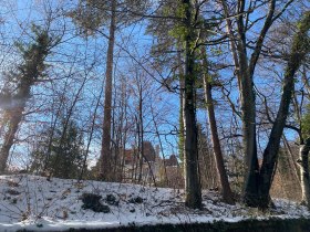 Blick durch B&auml;ume und Str&auml;ucher auf das Schloss Rothschild, &copy; Wiener Alpen in Nieder&ouml;sterreich