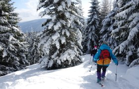 Scheeschuhwandern am Semmering, © Wolfgang Menzel/Teamwandern
