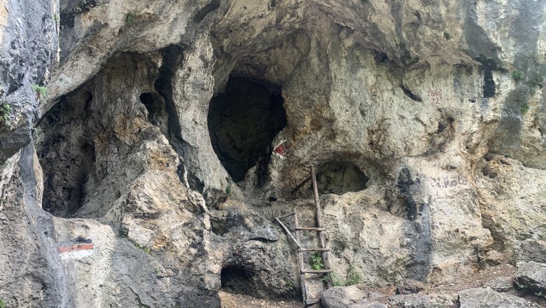 Felswand mit Löchern und einer Holzleiter.