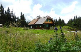Eine Holzh&uuml;tte in einer gr&uuml;nen Wiese mit Blumen und B&auml;umen im Hintergrund.
