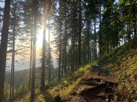Wanderweg Pinkenkogel, © Wiener Alpen in Niederösterreich - Semmering Rax