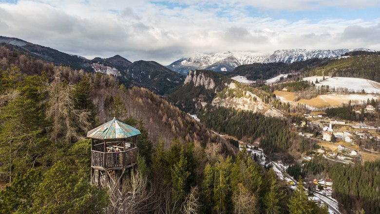 Aussichtsturm im Wald mit Berglandschaft im Hintergrund.