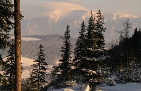 Landschaft, © Wiener Alpen in Niederösterreich - Semmering Rax
