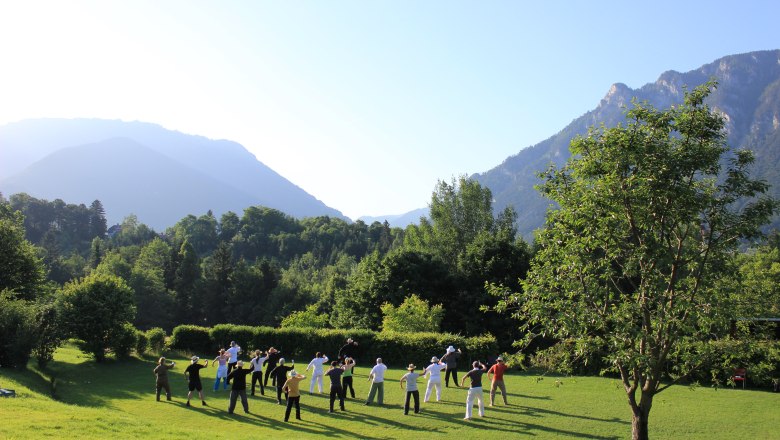 Gruppe von Menschen macht Tai Chi auf einer Wiese vor Bergkulisse.