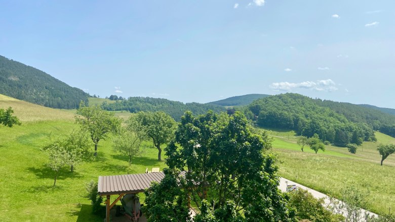 Landschaft mit grünen Hügeln, Bäumen und einem Unterstand.