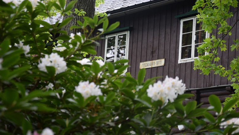Holzhütte hinter blühenden Rhododendronbüschen.