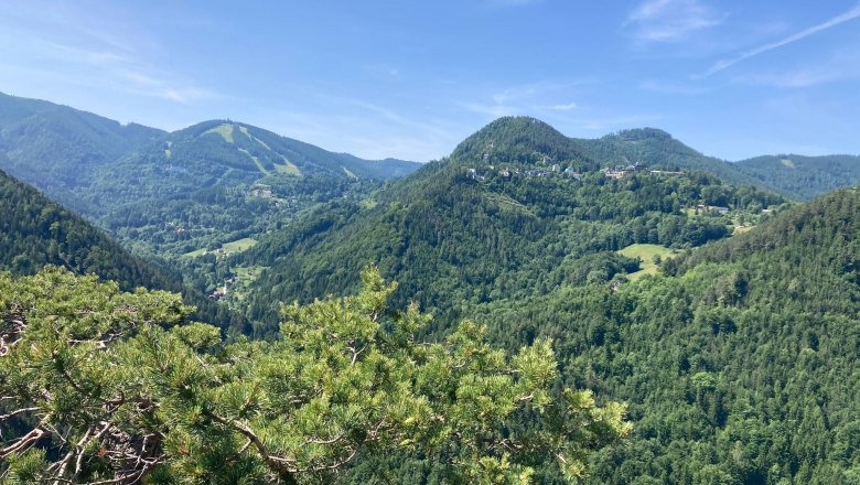 Blick auf grüne bewaldete Hügel unter blauem Himmel.
