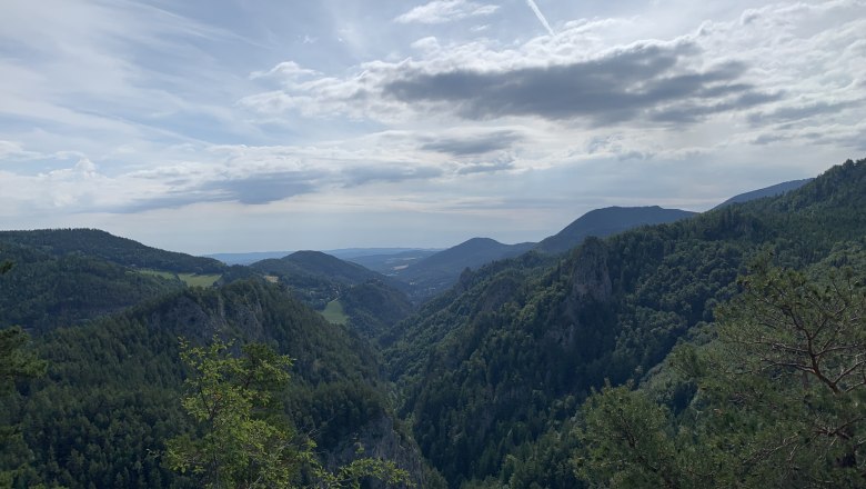 Blick auf bewaldete Berge und Täler unter einem bewölkten Himmel.