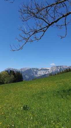 Raxblick, © Irene Beckmann