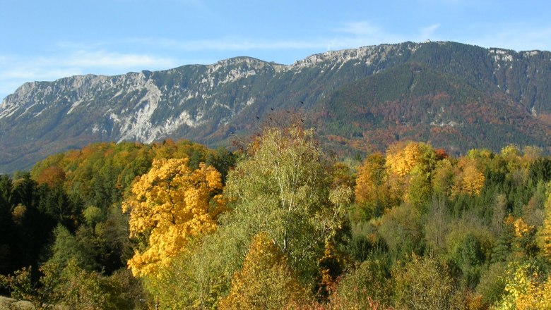 Herbstliche Landschaft mit bunten Bäumen und Berg im Hintergrund.