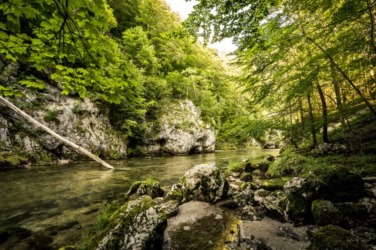 Dem beruhigendem Plätscher des Wassers lauschen und dabei die unberührte Umgebung beobachten - das kühle, klare Wasser der Schwarza lädt zum Plantschen und Relaxen ein. , © Robert Herbst