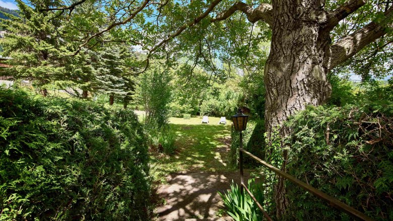 Ein grüner Garten mit Bäumen, Sträuchern und zwei Liegestühlen im Hintergrund.
