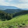Aussicht von der Rams, © Wiener Alpen