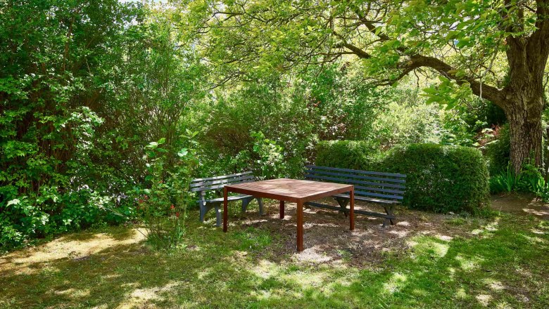 Ein ruhiger Garten mit zwei Bänken und einem Tisch unter einem großen Baum.