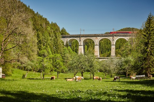 Semmeringbahn, © Niederösterreich-Werbung/Michael Liebert