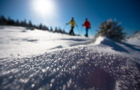 Schneeschuhwandern, © ©Wiener Alpen, Foto: Claudia Ziegler