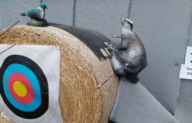 Zielscheibe mit Pfeilen und Tierfiguren im Kletterpark Wartmannstetten.