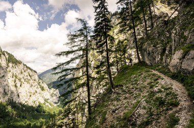 Rund 2.000 Kletter-Routen aller Schwierigkeitsgrade führen aus dem Talgrund auf Schneeberg und Rax., © Robert Herbst