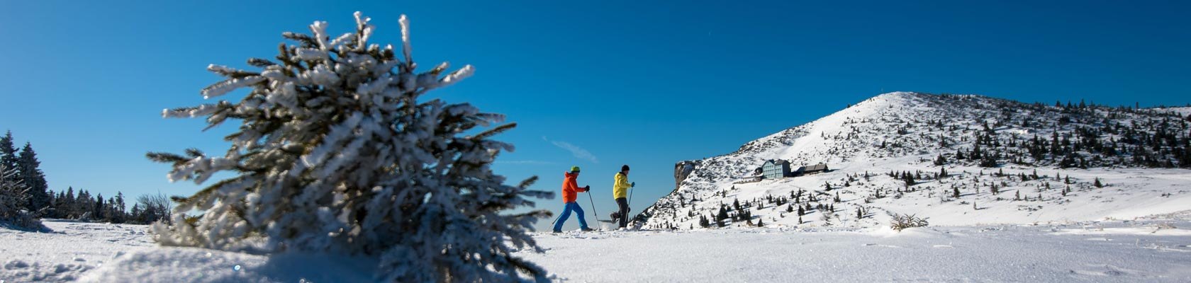 Schneeschuhwandern auf der Rax, © Wiener Alpen/Claudia Ziegler