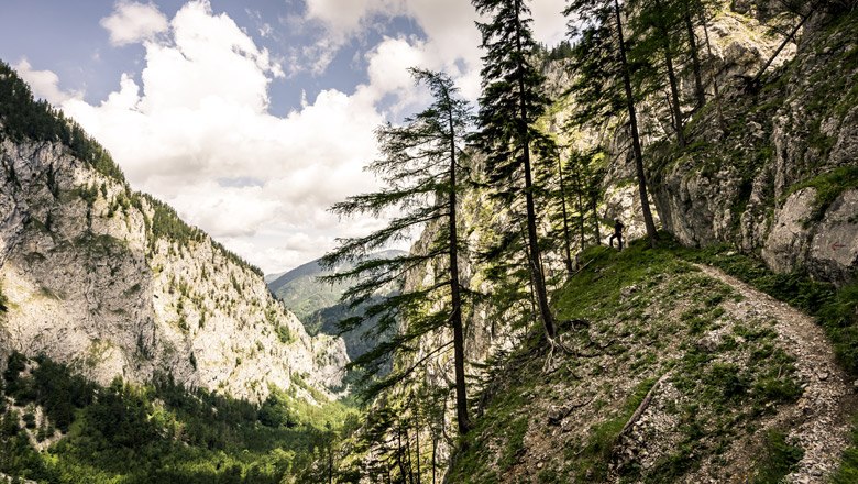 Rund 2.000 Kletter-Routen aller Schwierigkeitsgrade führen aus dem Talgrund auf Schneeberg und Rax., © Robert Herbst