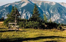 Die sanften Hügel der Wiener Alpen erstrahlen im warmen Licht des Sommertages. Ein klarer Himmel und die frische Bergluft laden dazu ein, die atemberaubende Aussicht zu genießen und die Ruhe der Natur zu erleben.