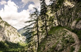 Rund 2.000 Kletter-Routen aller Schwierigkeitsgrade führen aus dem Talgrund auf Schneeberg und Rax., © Robert Herbst